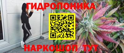 таблы Лесосибирск