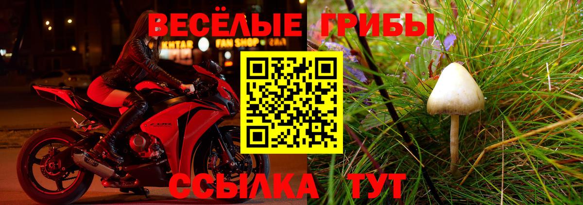 Верхний Уфалей  Псилоцибиновые грибы MAGIC MUSHROOMS  Вход с VPN 