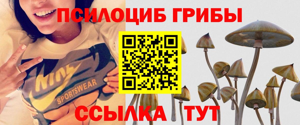 Псилоцибиновые грибы Psilocybine cubensis Верхний Уфалей
